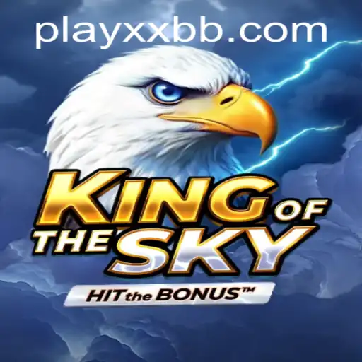 Soaring High: An In-Depth Look at KingOfTheSky and the Role of XXBB.COM